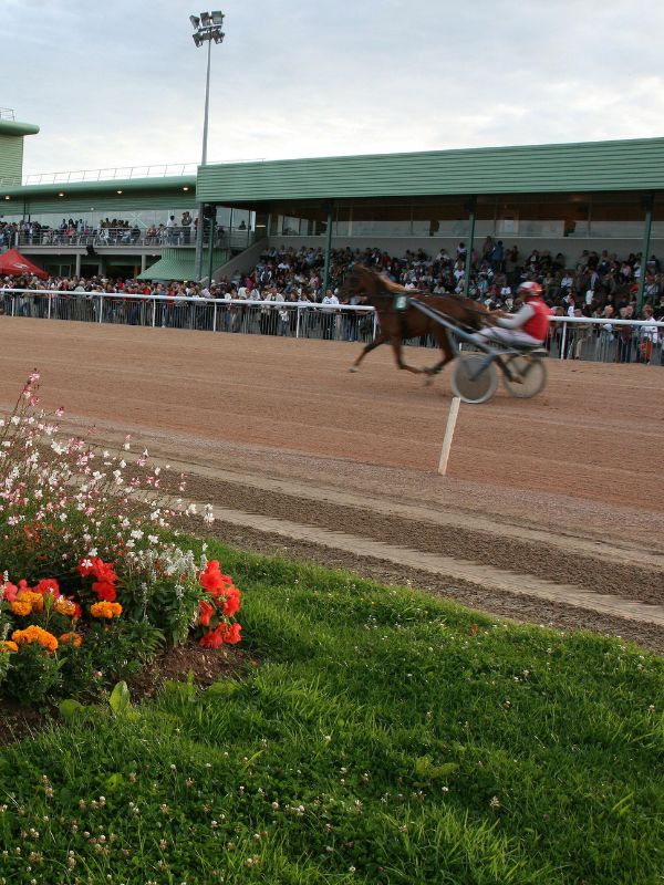 Courses hippiques Graignes Graignes-Mesnil-Angot 2026-03-22 Courses hippiques