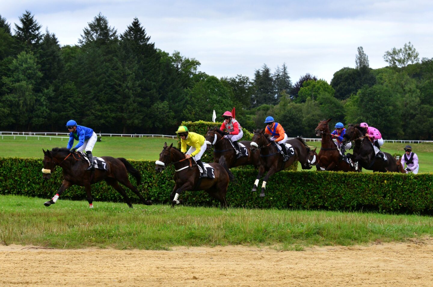Courses hippiques Hippodrome en fête