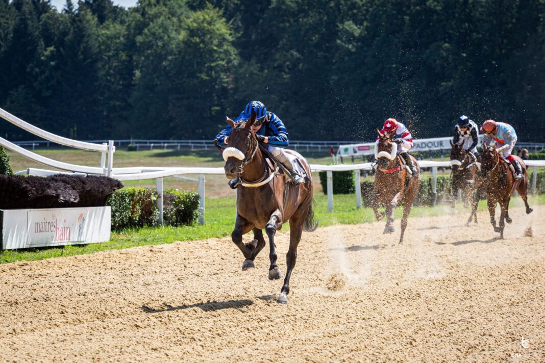 Courses hippiques journée Race and Care  Arnac-Pompadour