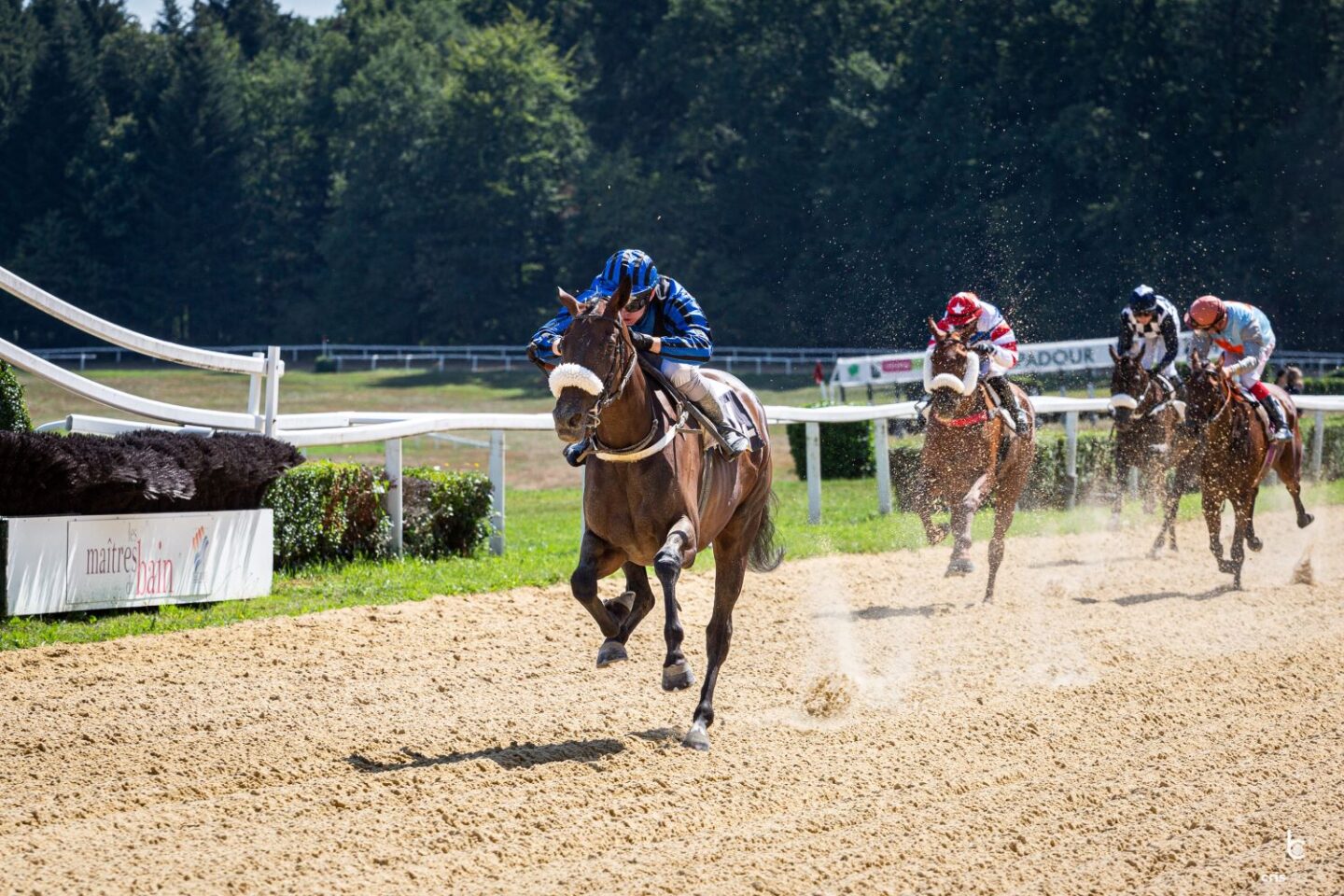 Courses hippiques journée Race and Care