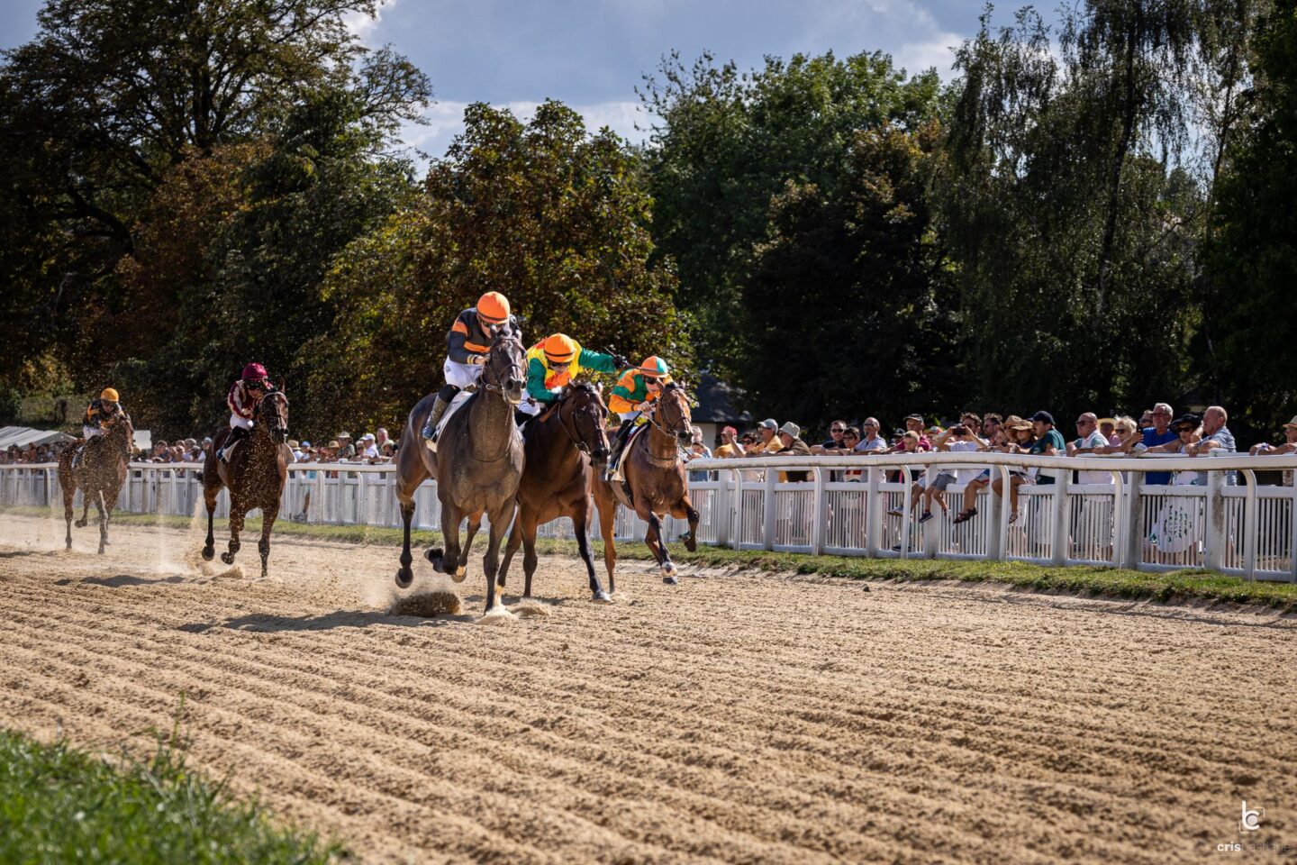 Courses hippiques Paëlla géante