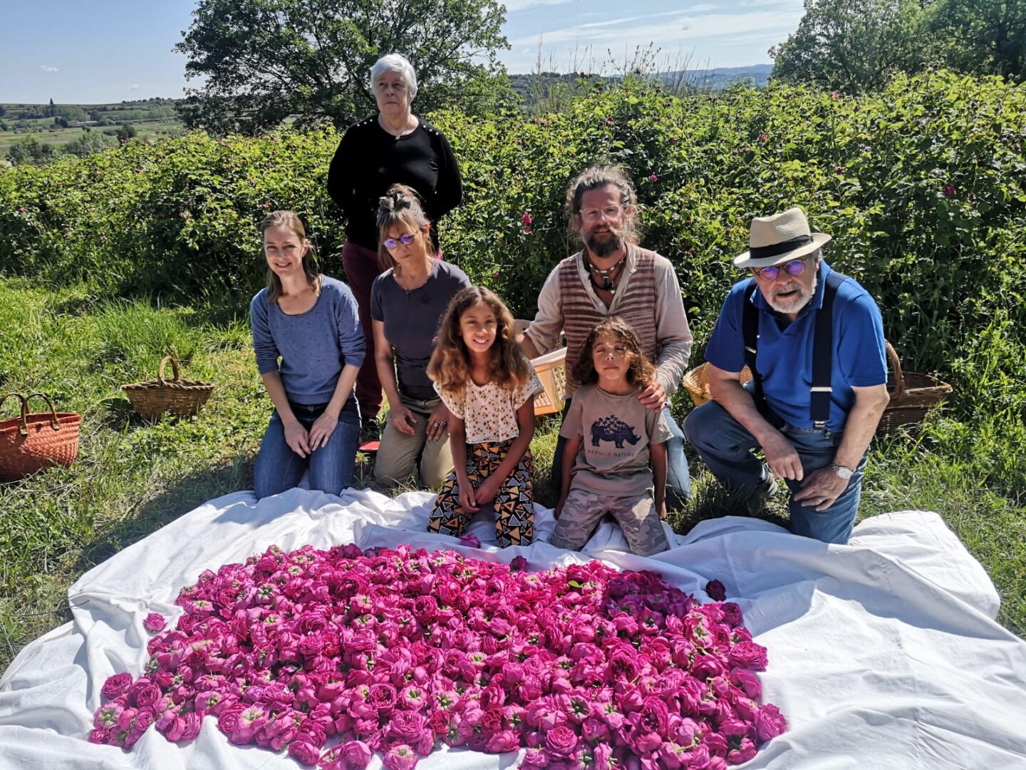 CUEILLETTE DES ROSES