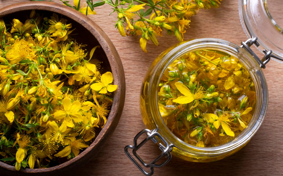 Cuisinons les plantes sauvages