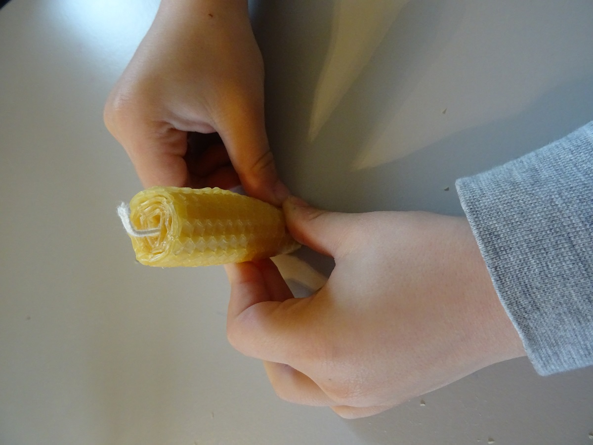 Découverte des abeilles et fabrication de bougie Ferme-musée du Cotentin