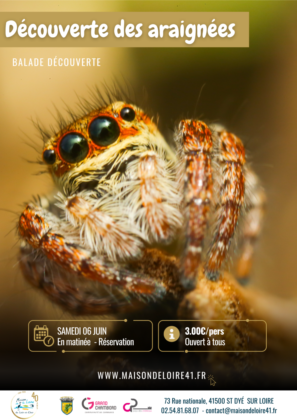 Découverte des araignées avec la Maison de la Loire