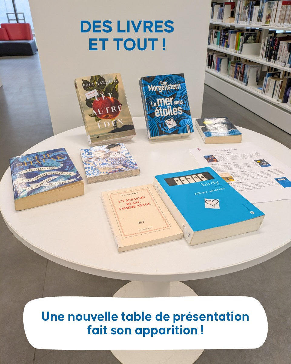 Des livres et tout Médiathèque Aire-sur-l’Adour 2026-03-27 Des livres et tout