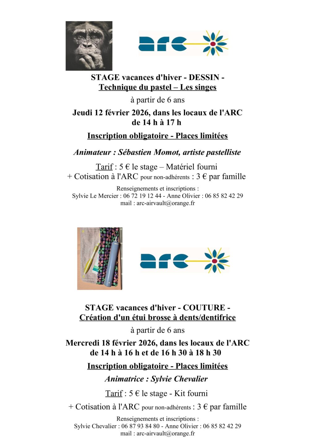 Dessin au pastel les singes