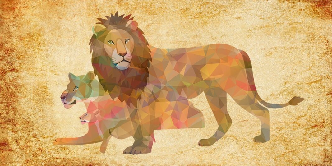 Diffussion de Mufasa Poilly-lez-Gien