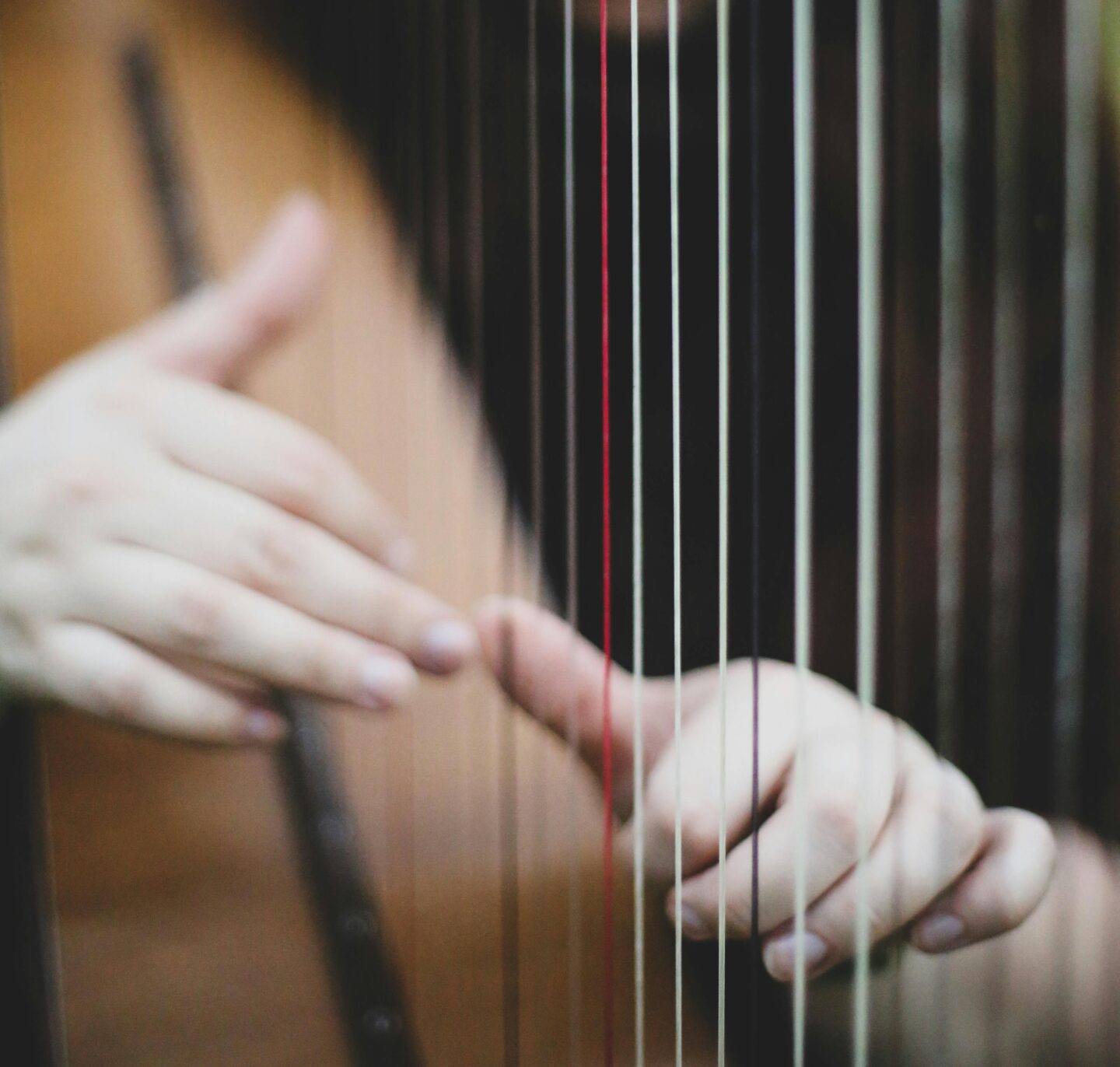 Dis-moi Dix mots Concert