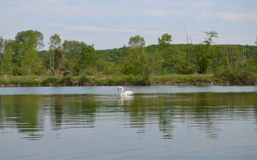 Ecorando à Vert-en-Drouais