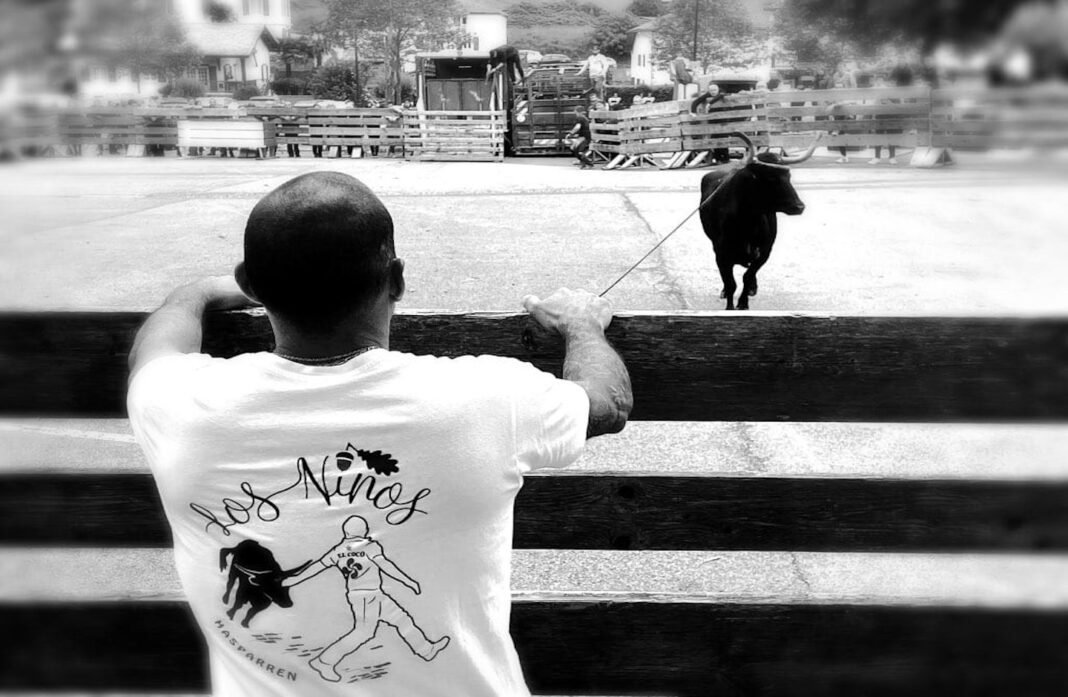 Encierro ttiki et course de vaches dans les rues.  Hasparren