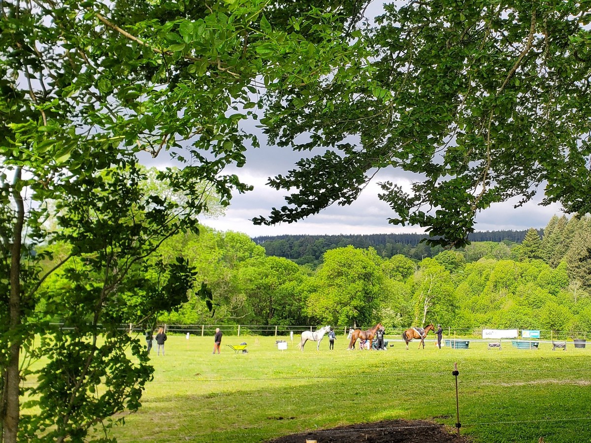 ENDURANCE ÉQUESTRE EN MONTAGNE NOIRE