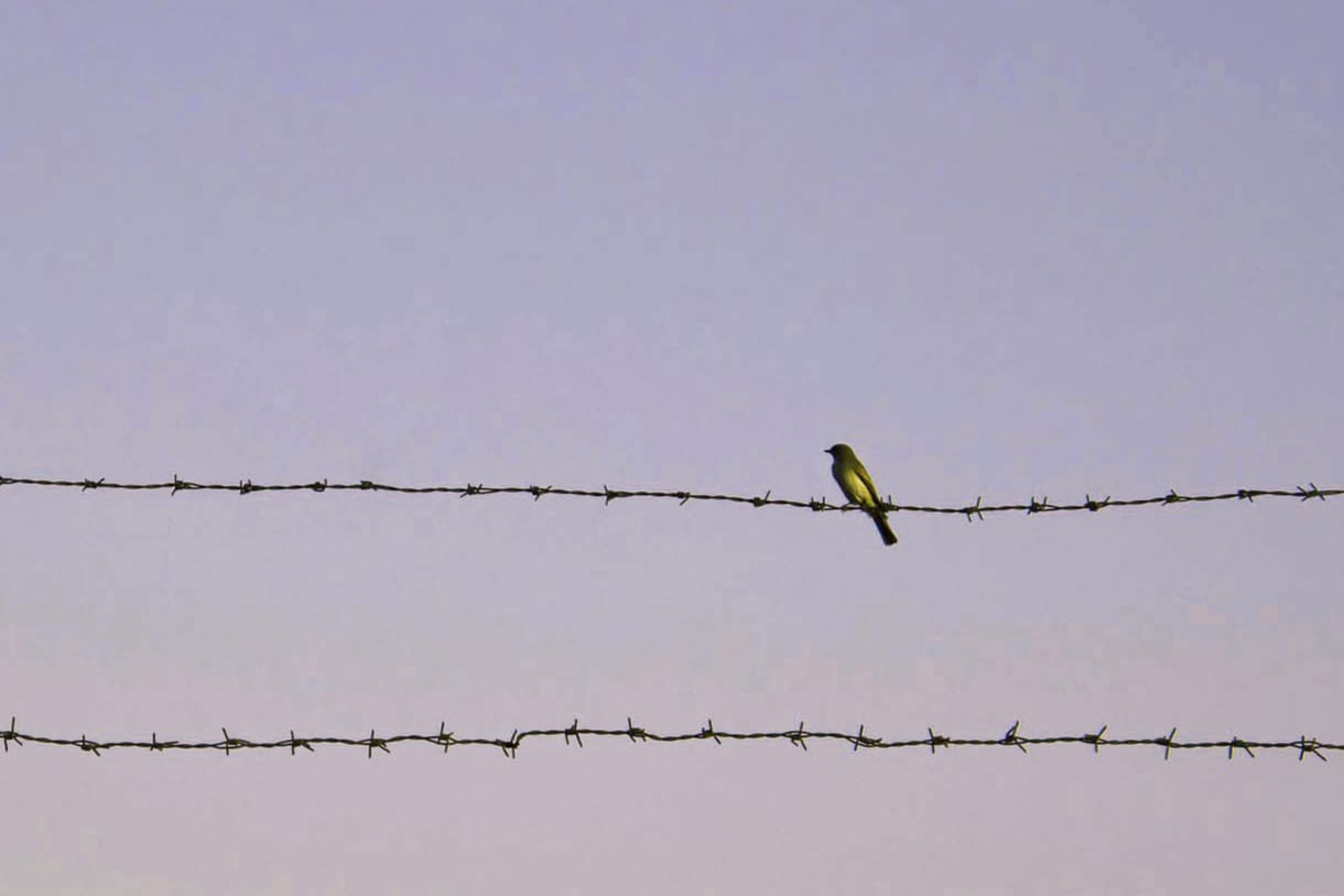 Espace Noriac Cendrillon