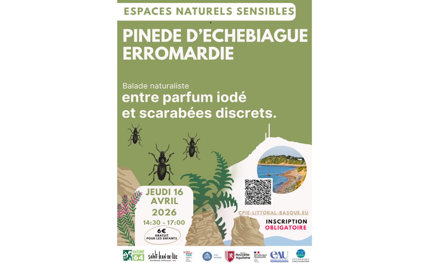 Espaces naturels sensibles de Saint-Jean-de-Luz: Pinède d'Etchebiague