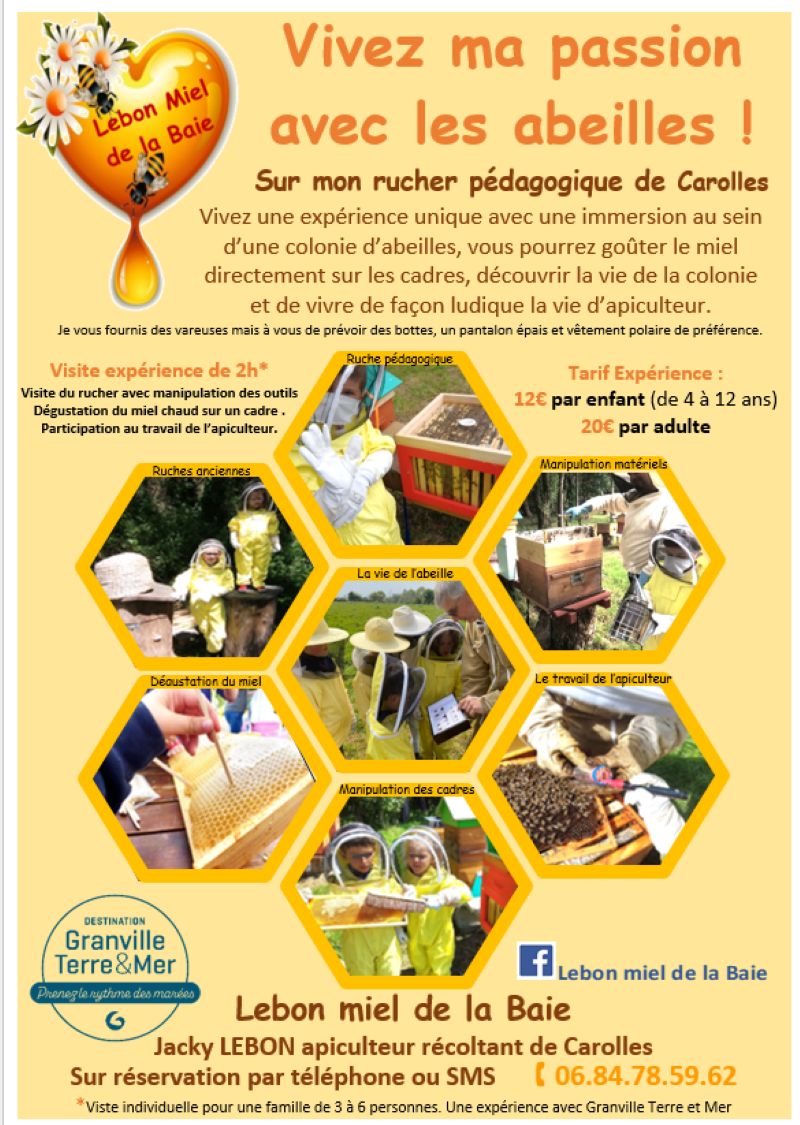 Expérience de Destination Vivez ma passion avec les abeilles !