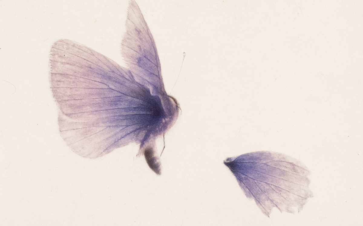 Exposition collective gravure "RÉCITS - œuvre sur papier" à Paris : Nouveaux regards LooLooLook Gallery  Paris