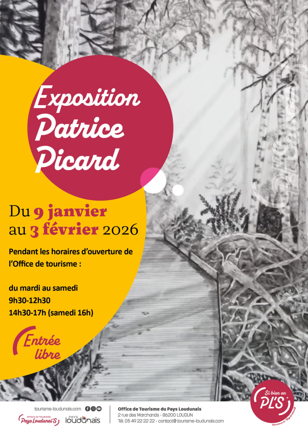 Exposition de Patrice PICARD