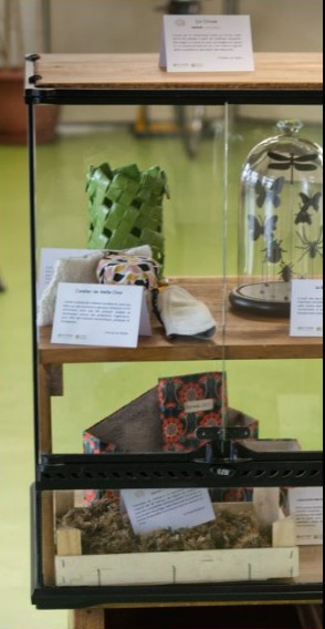 Exposition du SYDED à l'Escalier