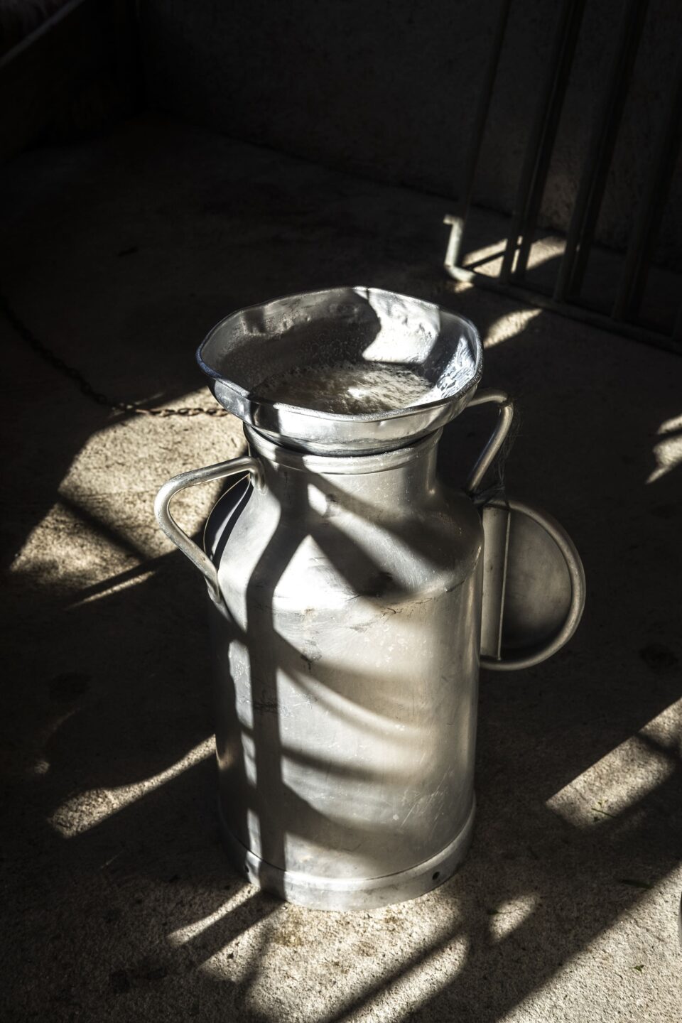 Exposition Photographies d'Adrien Basse