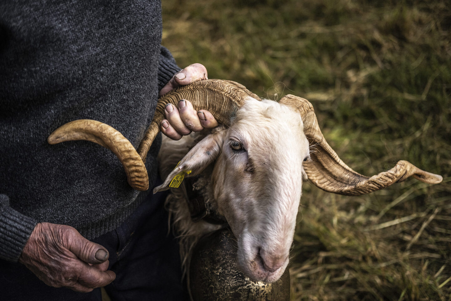Exposition Photographies d'Adrien Basse