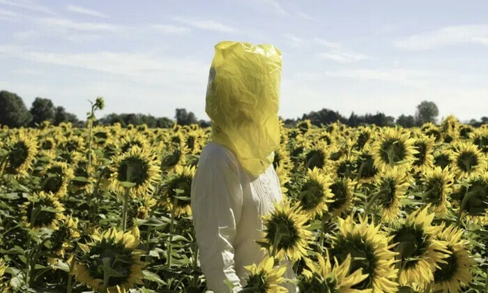 Exposition Plants and People - au Musée d’arts de Nantes Musée d'arts de Nantes