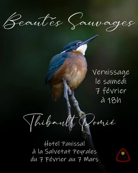 Exposition Thibault Pomié