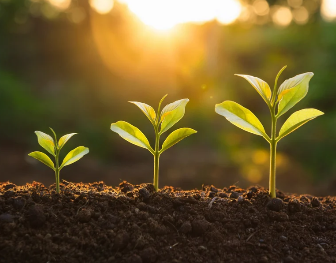 FÊTE DE L'HIVERS ET JOURNÉE PORTES OUVERTES