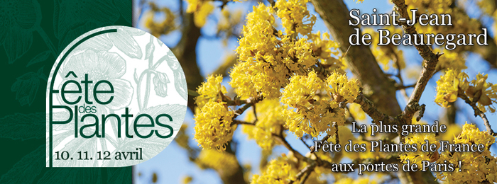 Fête des plantes de Saint Jean de Beauregard Château de Saint-Jean de Beauregard Saint-Jean-de-Beauregard