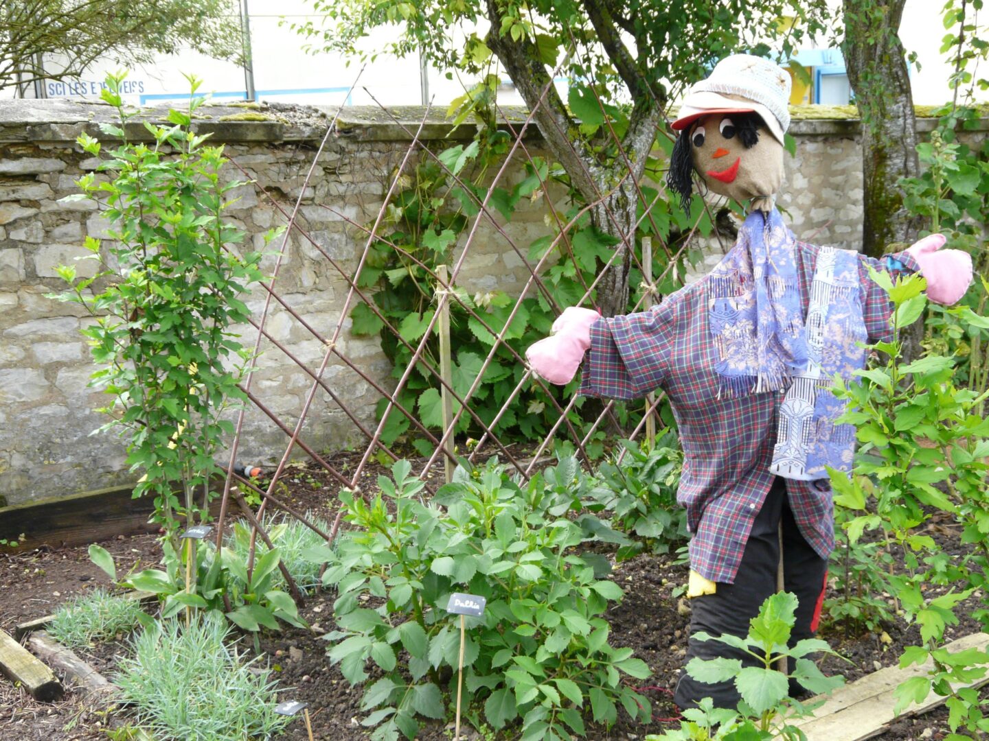 Fête d’été de La Rabouilleuse