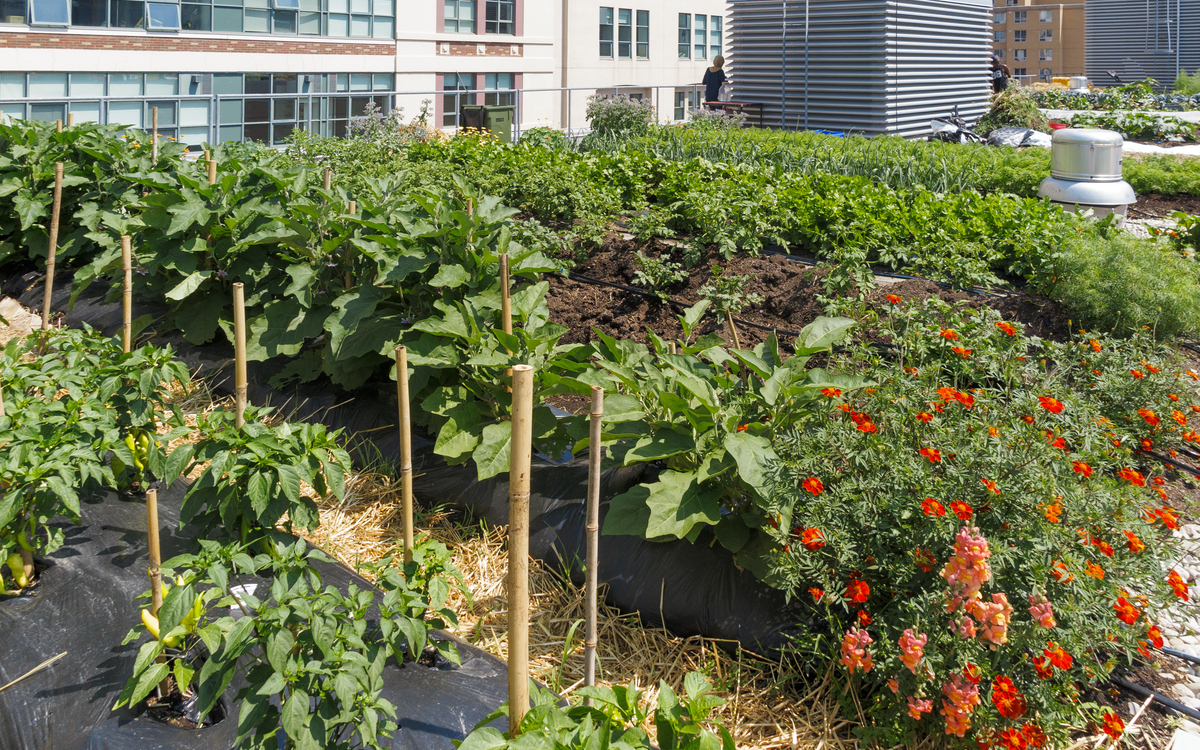 Forum Métiers en Agriculture Urbaine Académie du Climat  Paris