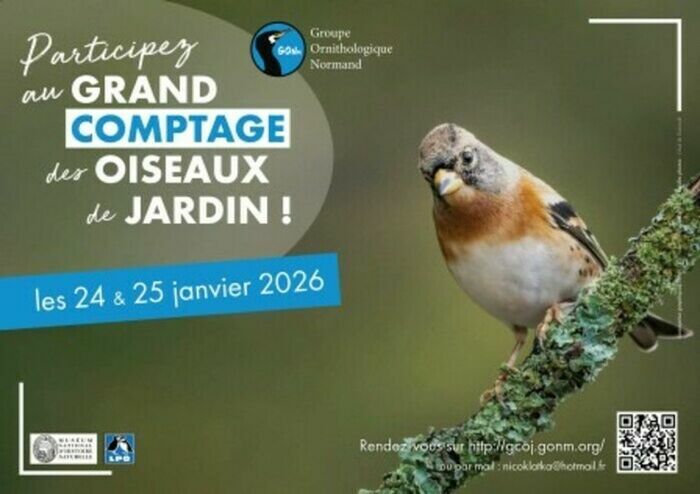 GRAND COMPTAGE DES OISEAUX DE JARDIN Caen Caen