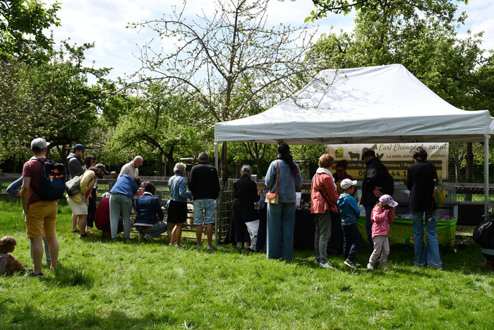 Greffage Ecomusée de la Bintinais Noyal-Châtillon-sur-Seiche