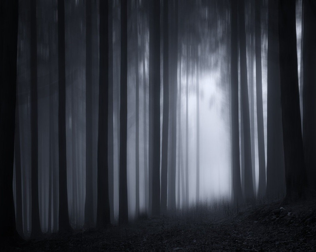 Gretel et Hansel Collège Donzelot