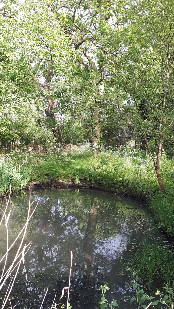 Immersion au sein de l'oasis de nature en ville du Lieu Utile Le Lieu Utile