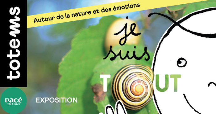 Je suis tout un jeu Totems Pacé