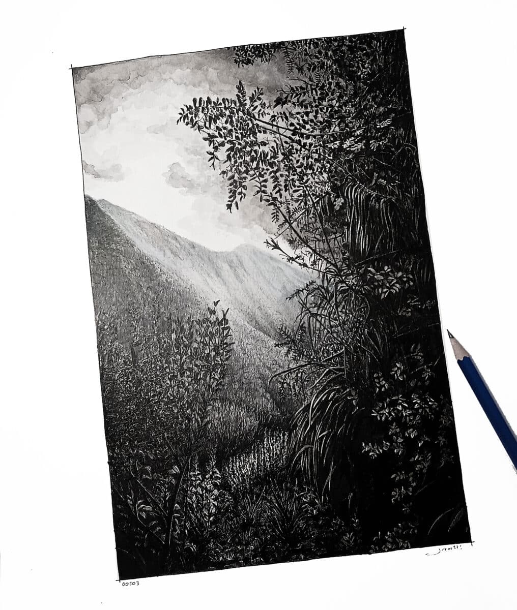 jeremy bézard polynésie française