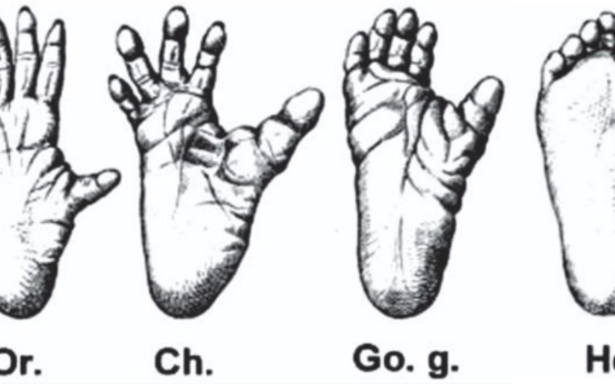 Jonglages et Sciences : Le champs des possibles L’atelier du plateau Paris Jonglages et Sciences : Le champs des possibles L'atelier du plateau Paris