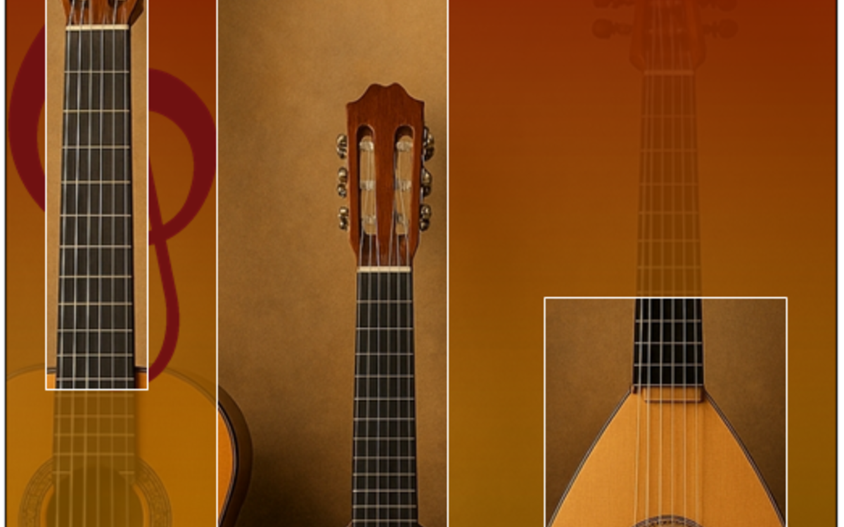 Journée Cordes Pincées (Masterclass et concert) Conservatoire Municipal Gabriel Fauré  PARIS