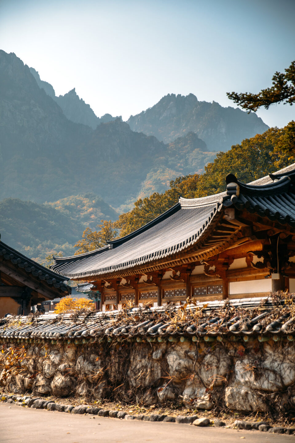 JOURNÉE K WORLD Médiathèque Aire-sur-l’Adour 2026-04-11 JOURNÉE K WORLD