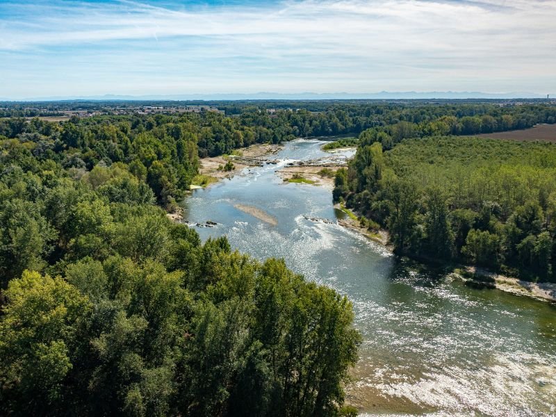JOURNÉE MONDIALE DES ZONES HUMIDES
