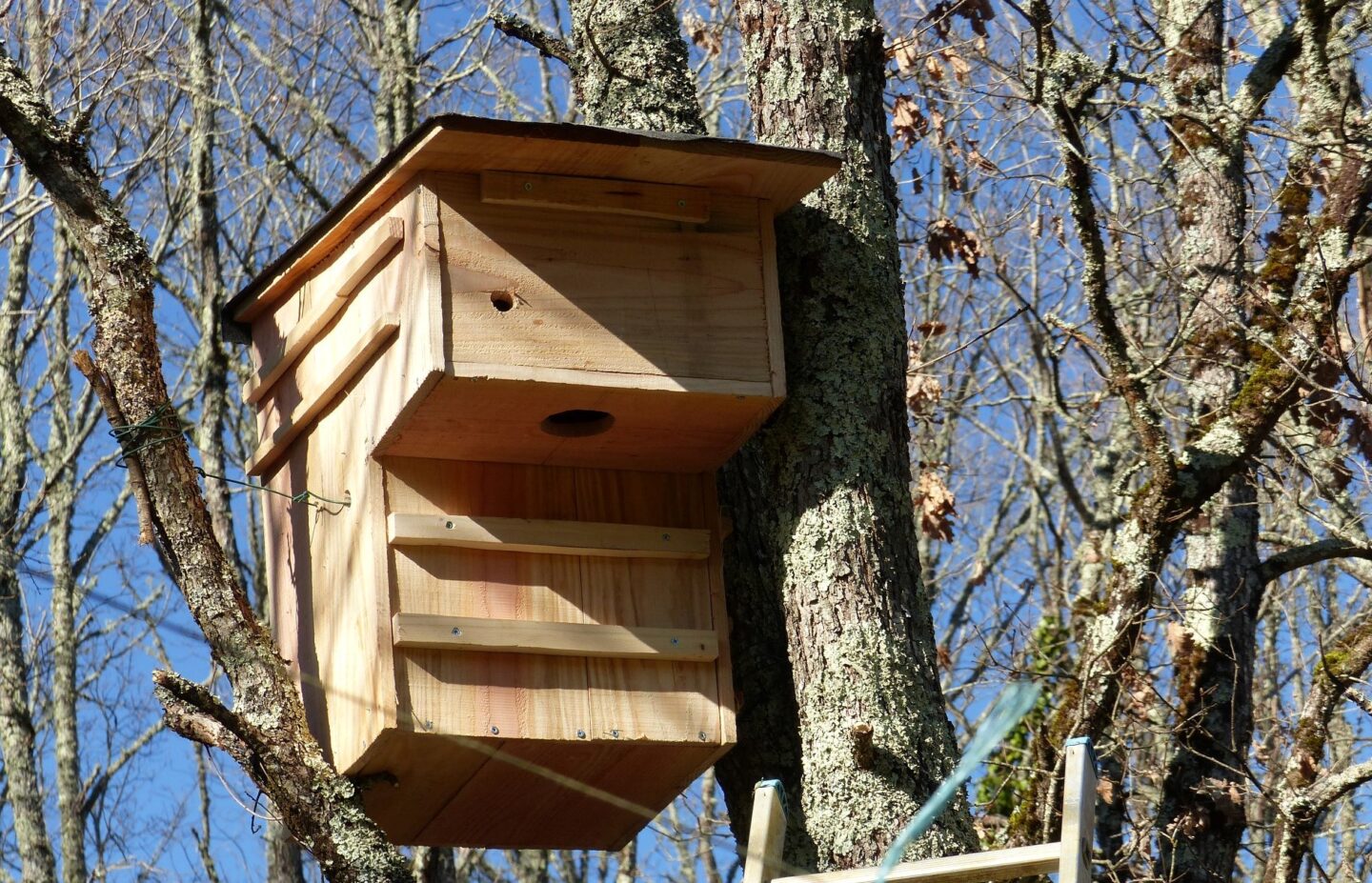 Journée Nichoirs au Jardin Bourian