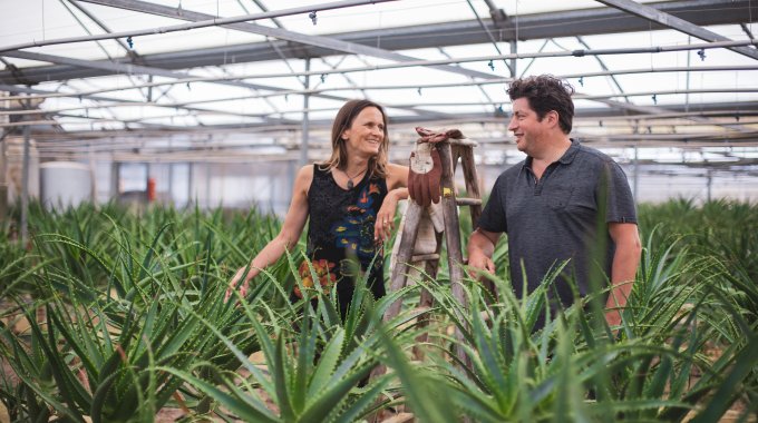 JOURNÉE PORTES OUVERTES L’ÎLE AUX PLANTES