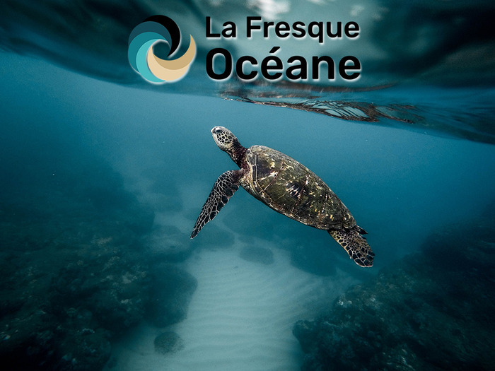 La fresque océane Bibliothèque Thabor-Lucien Rose Rennes