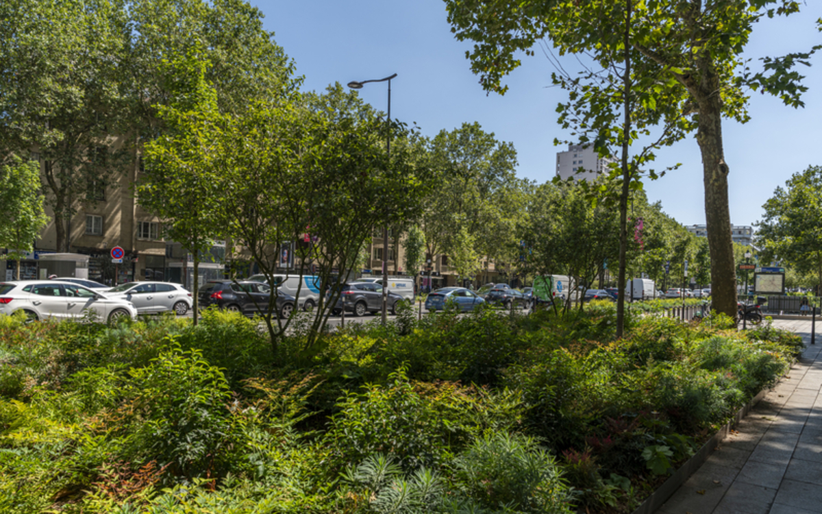 La métamorphose de la rue de la Chapelle rue de la Chapelle Paris