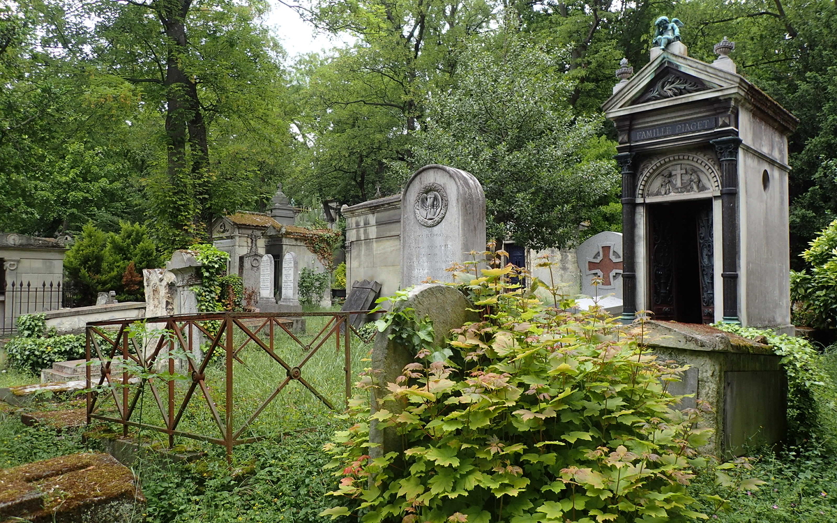 La nature au Père-Lachaise cimetière du Père Lachaise  Paris