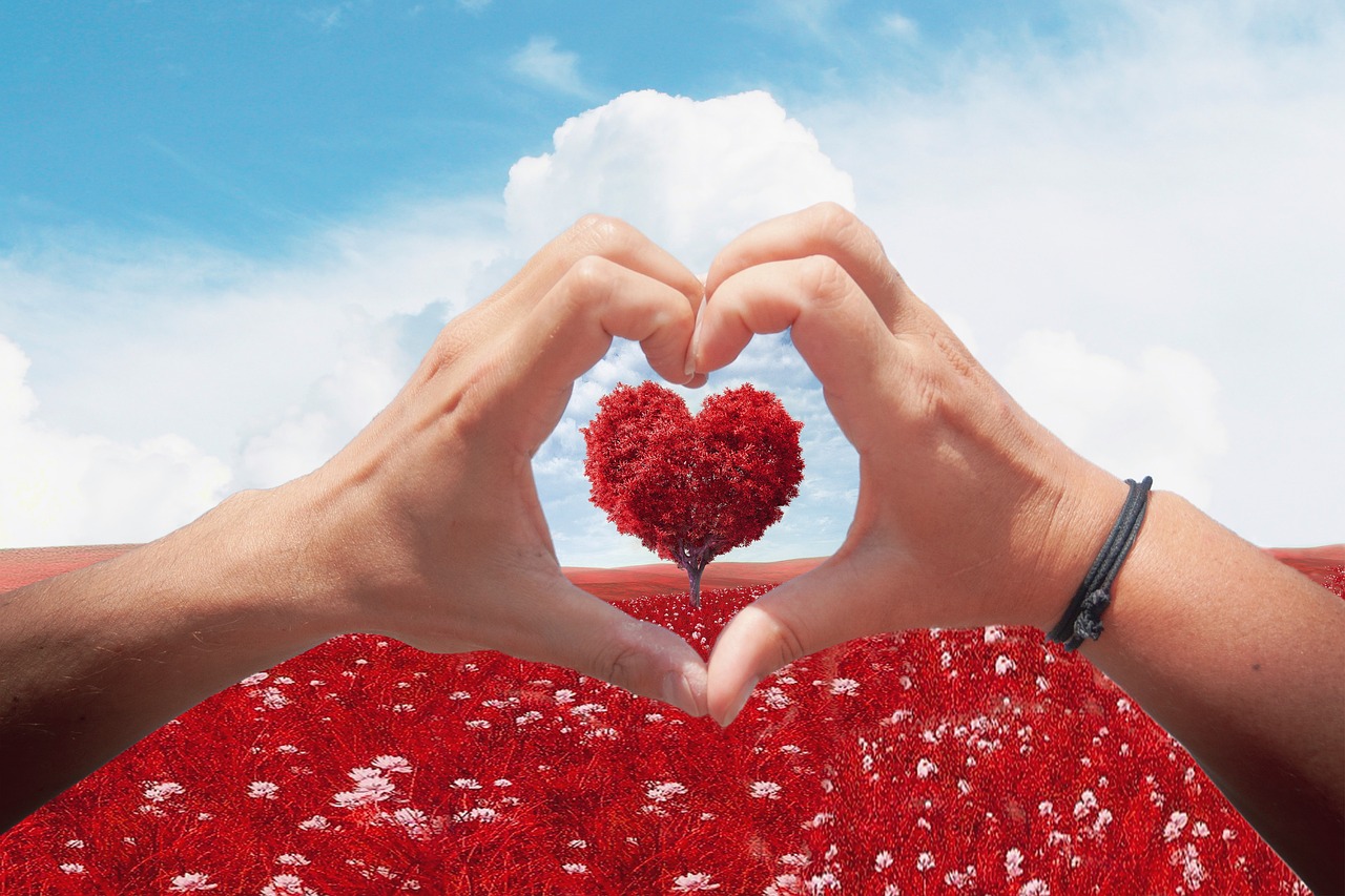 La Saint-Valentin au restaurant Nosco Restaurant Nosco Les Eyzies