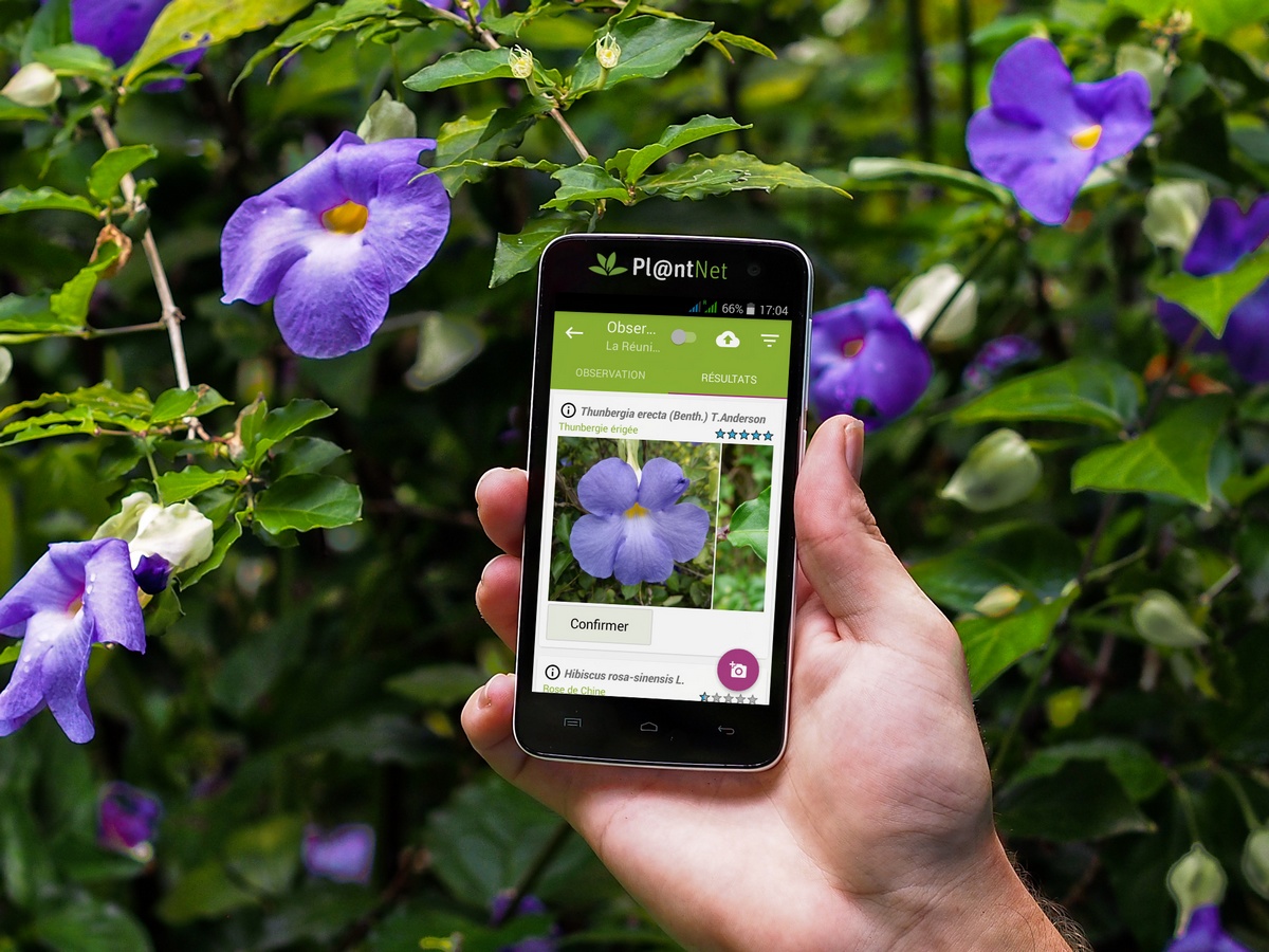 L'ABC DU HAUT-MINERVOIS CONFERENCE SUR LA FLORE