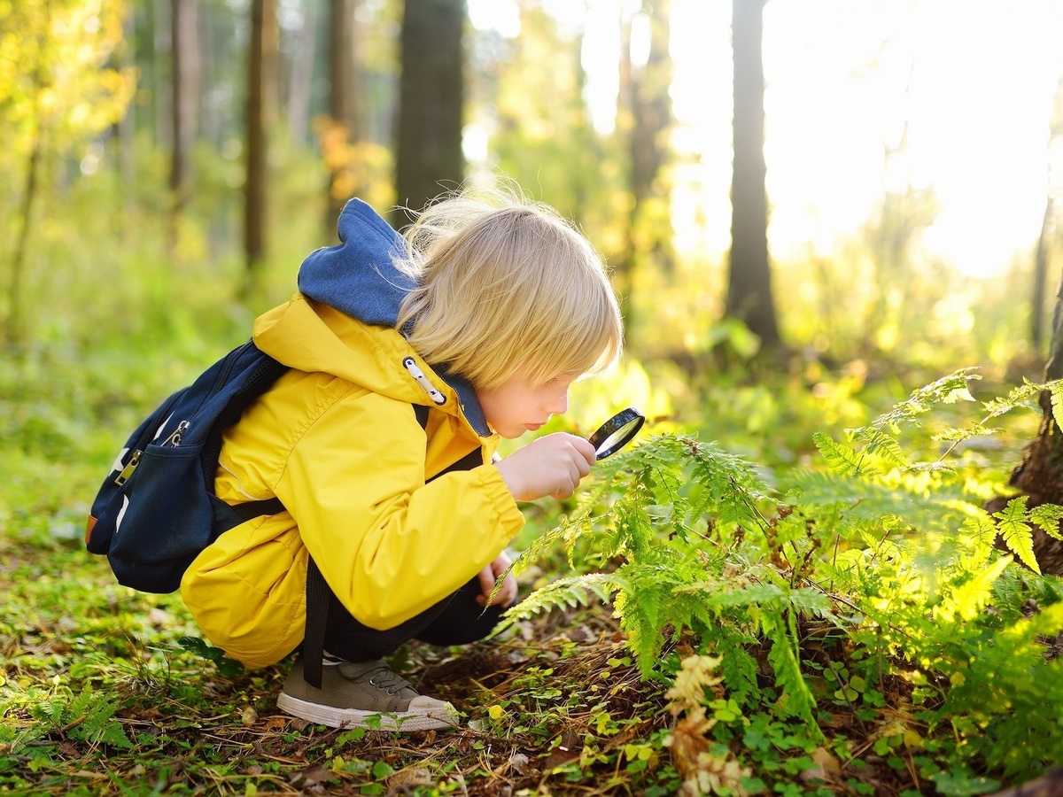 L'ABC DU HAUT-MINERVOIS FETE DE LA NATURE