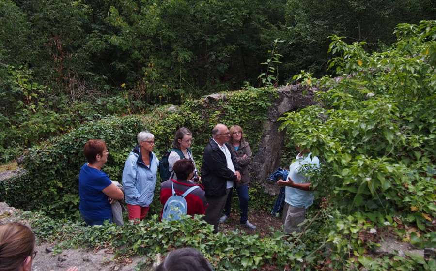 Le château de la Robertière un géant oublié de la forêt