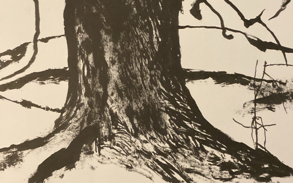 Le Théorème de l’olivier L’atelier du plateau Paris Le Théorème de l’olivier L'atelier du plateau Paris